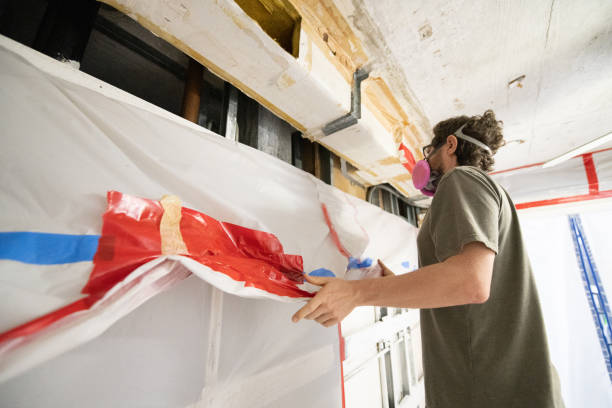 Best Mold Damage Restoration  in Grand Meadow, MN