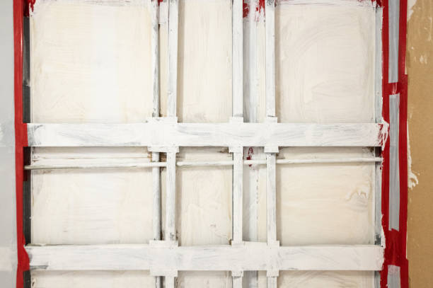  Grand Meadow, MN Mold Removal Pros