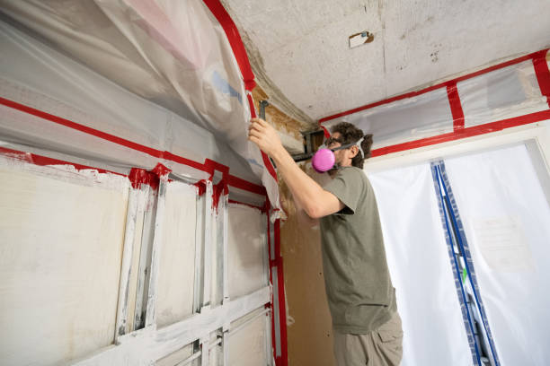 Best Dehumidification Services  in Grand Meadow, MN